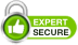 online expert security